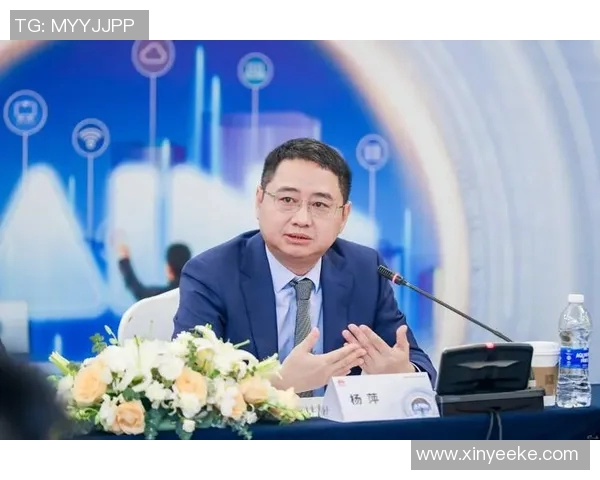 重庆羽毛球队快攻革新之路：技术提升与战术变革的深度解析