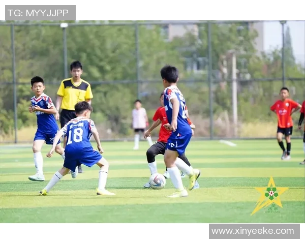 青梅竹马携手追梦路足球明星的成长与友情故事